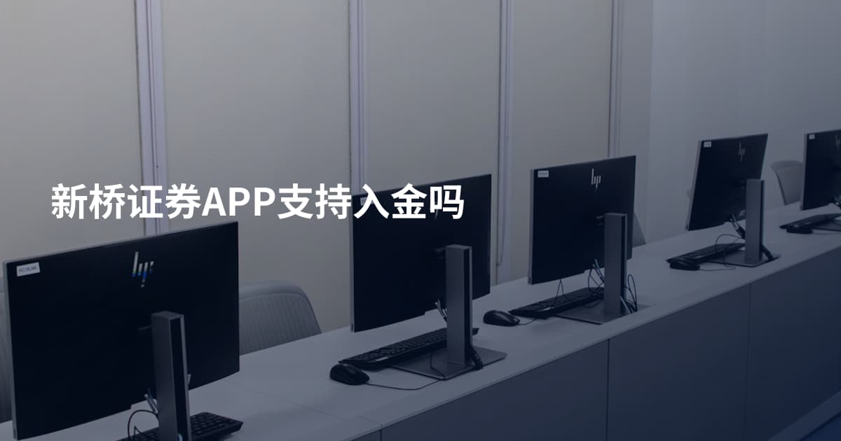 新桥证券APP支持入金吗