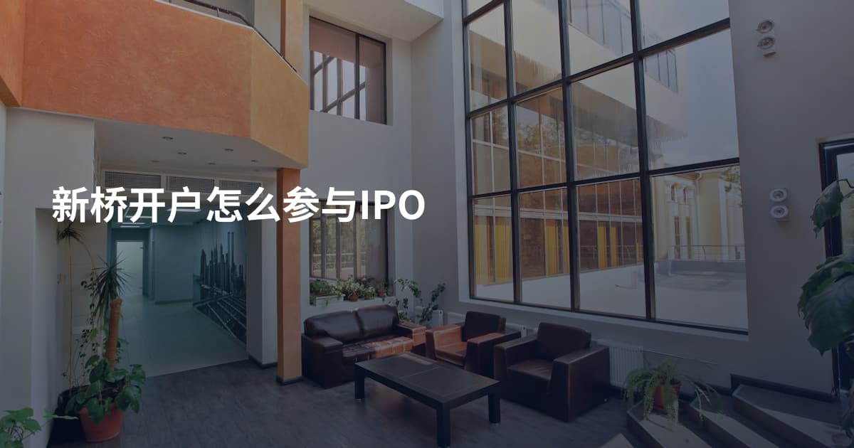 新桥开户怎么参与IPO