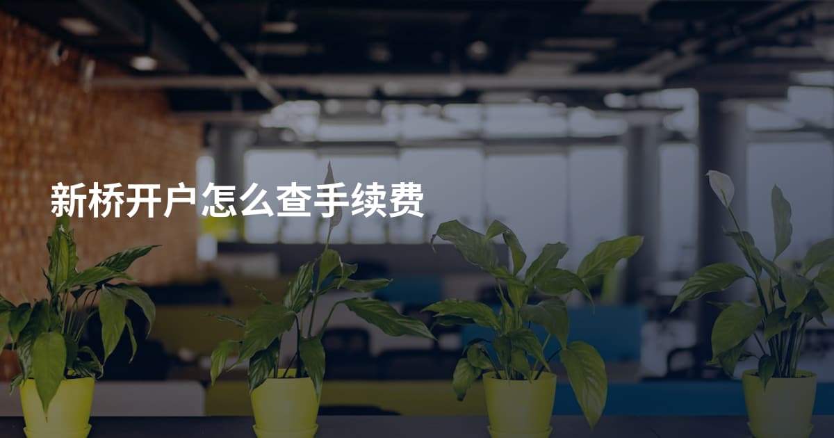新桥开户怎么查手续费