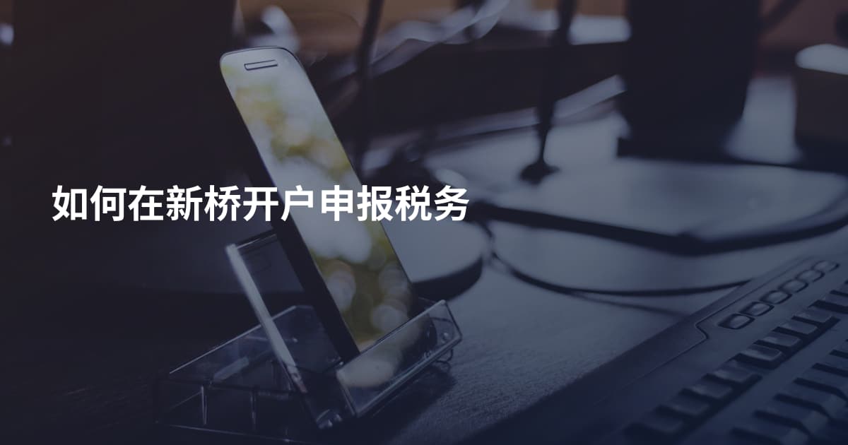 如何在新桥开户申报税务