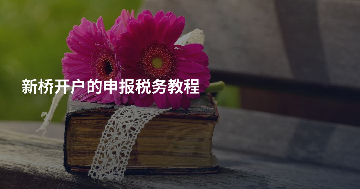 新桥开户的申报税务教程
