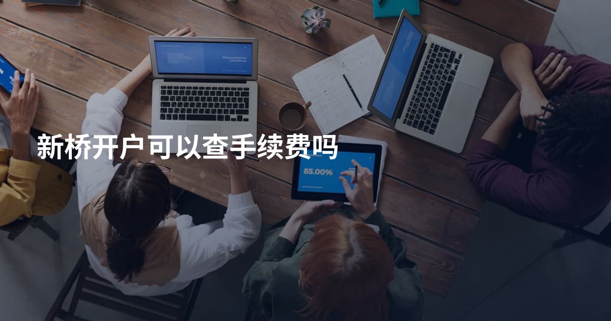 新桥开户可以查手续费吗