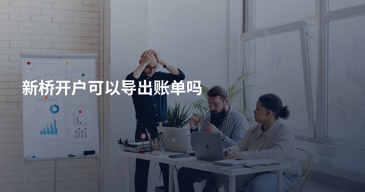 新桥开户可以导出账单吗