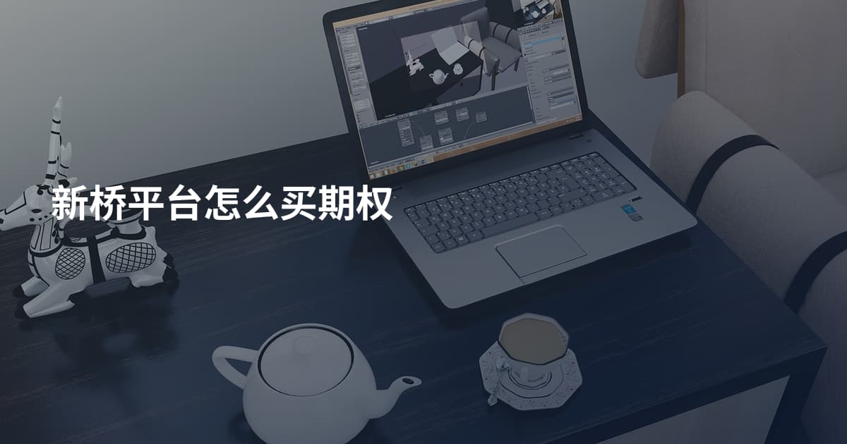 新桥平台怎么买期权
