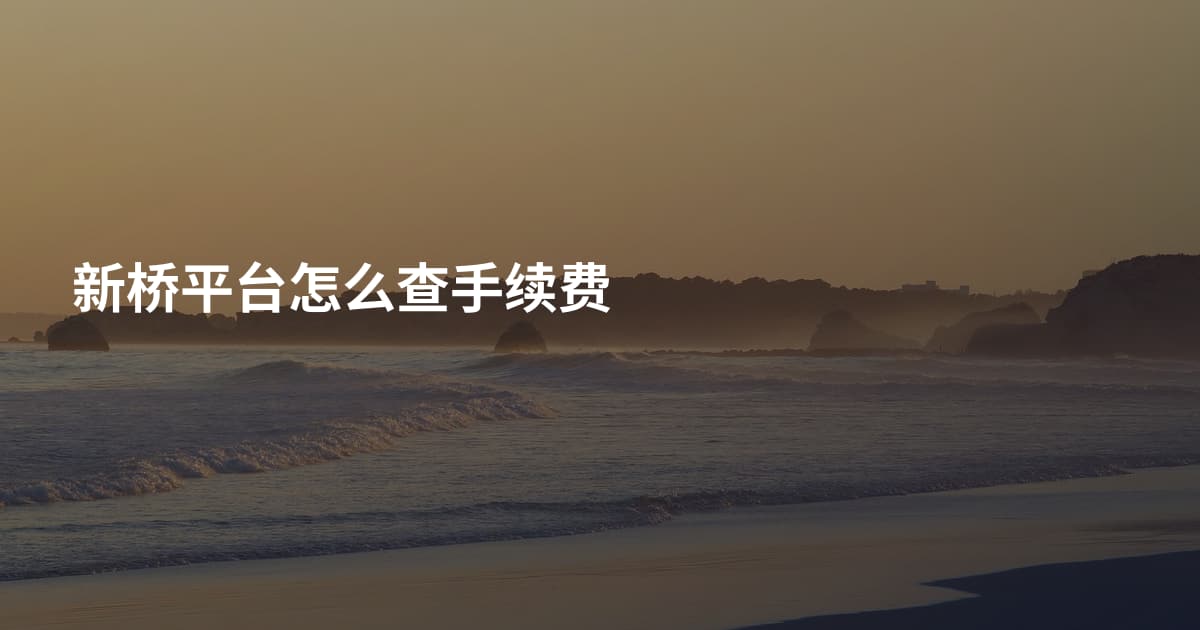 新桥平台怎么查手续费