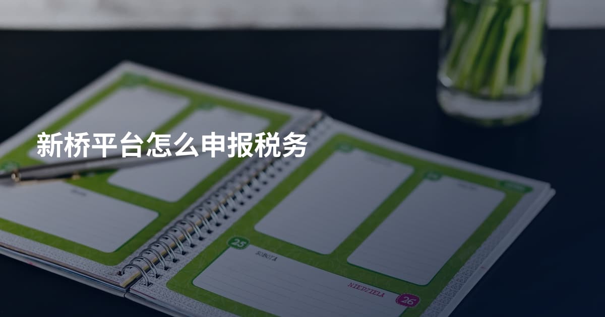 新桥平台怎么申报税务