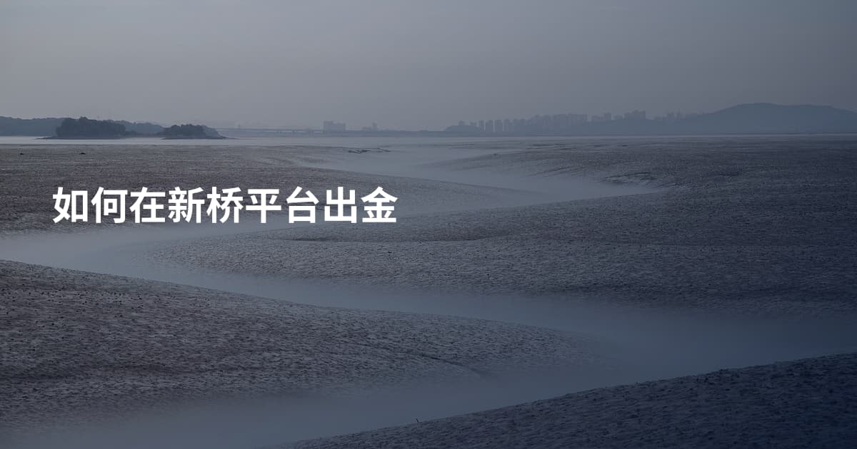 如何在新桥平台出金