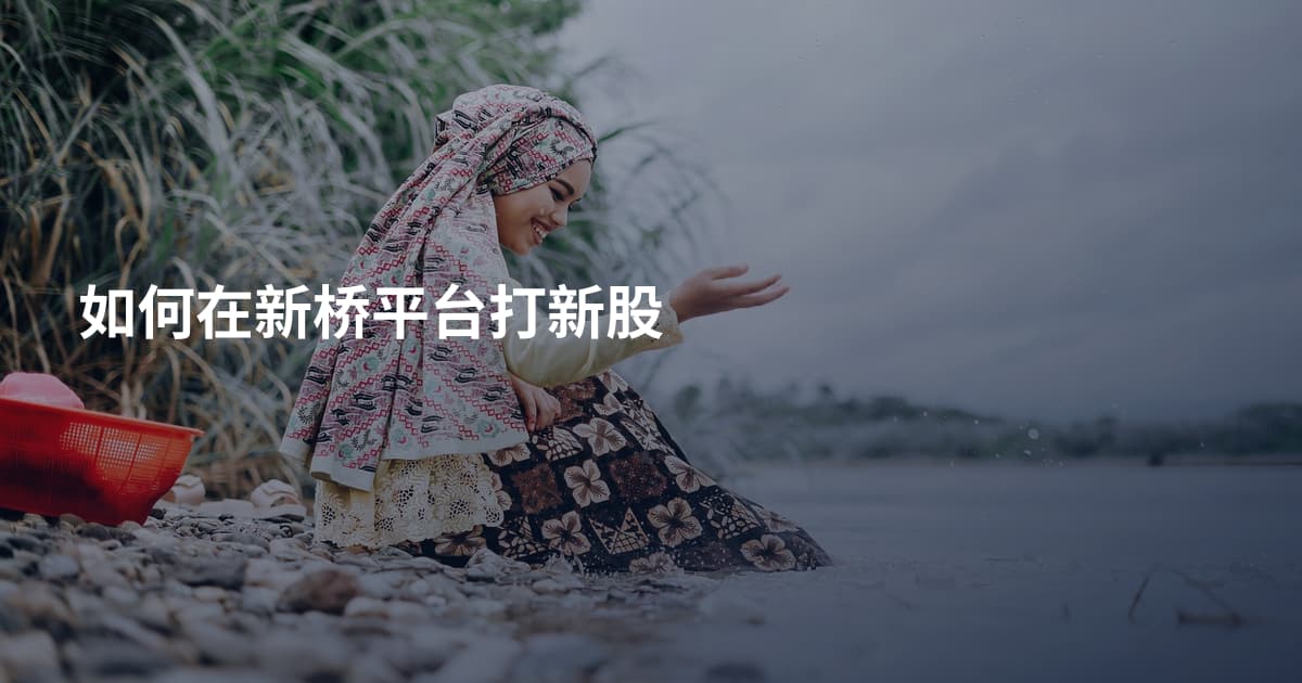 如何在新桥平台打新股