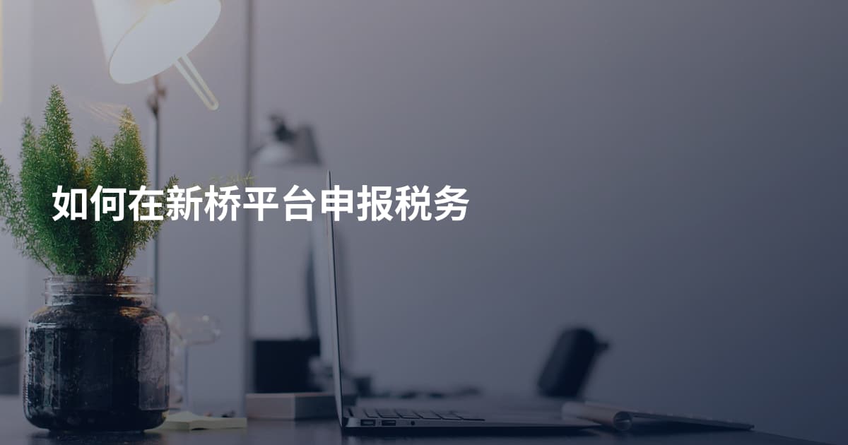 如何在新桥平台申报税务