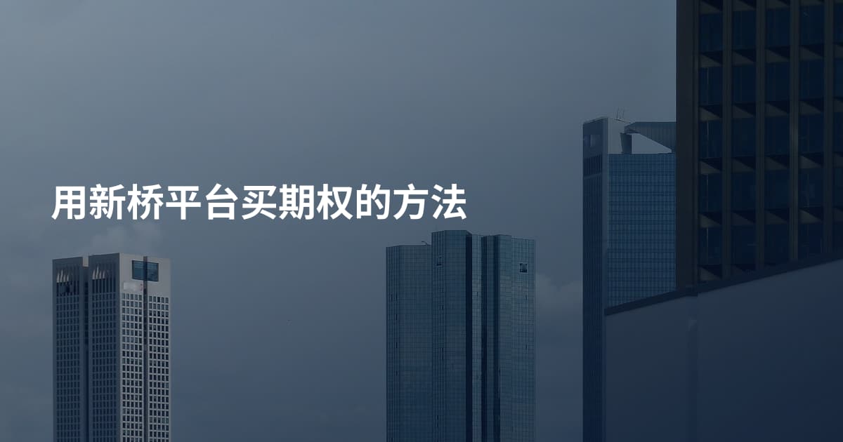 用新桥平台买期权的方法