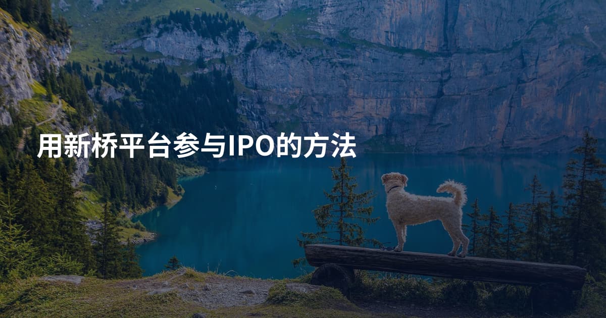 用新桥平台参与IPO的方法