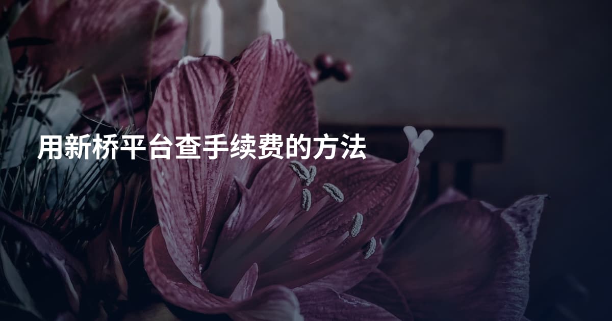 用新桥平台查手续费的方法