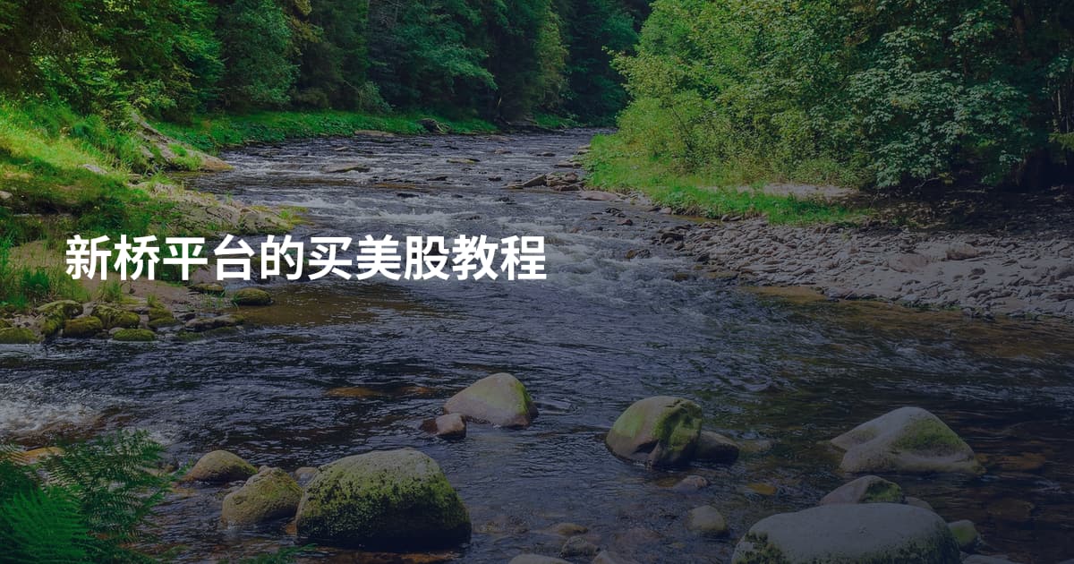 新桥平台的买美股教程