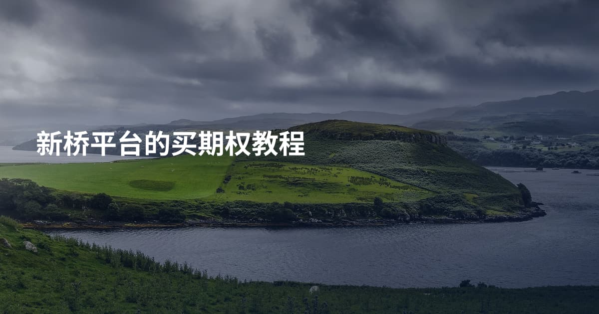 新桥平台的买期权教程
