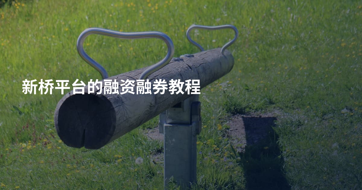 新桥平台的融资融券教程