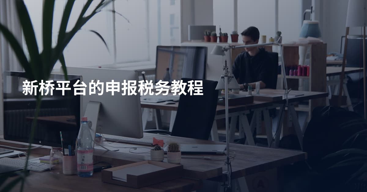 新桥平台的申报税务教程