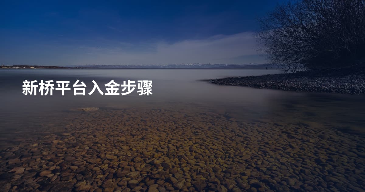 新桥平台入金步骤