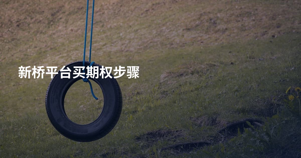 新桥平台买期权步骤