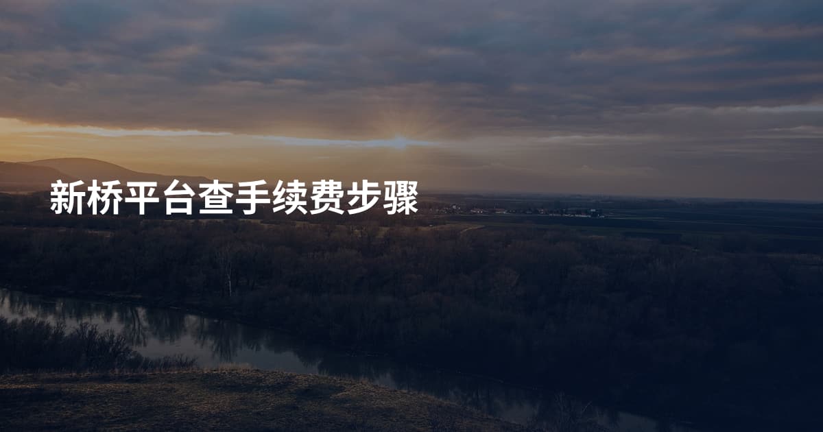 新桥平台查手续费步骤