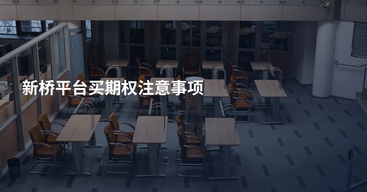 新桥平台买期权注意事项