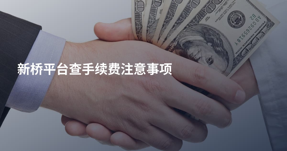 新桥平台查手续费注意事项