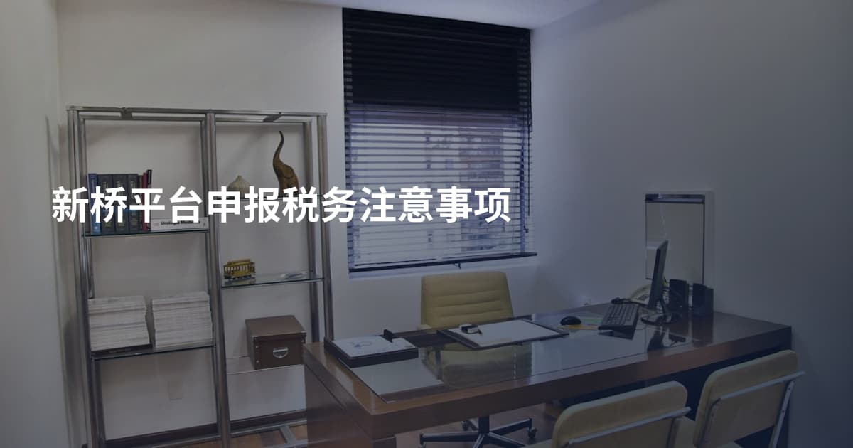 新桥平台申报税务注意事项