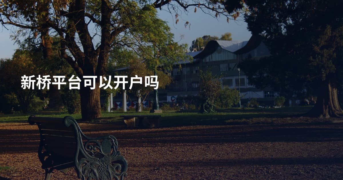 新桥平台可以开户吗