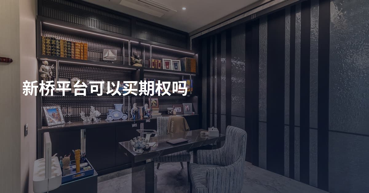 新桥平台可以买期权吗
