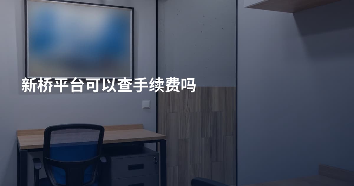 新桥平台可以查手续费吗