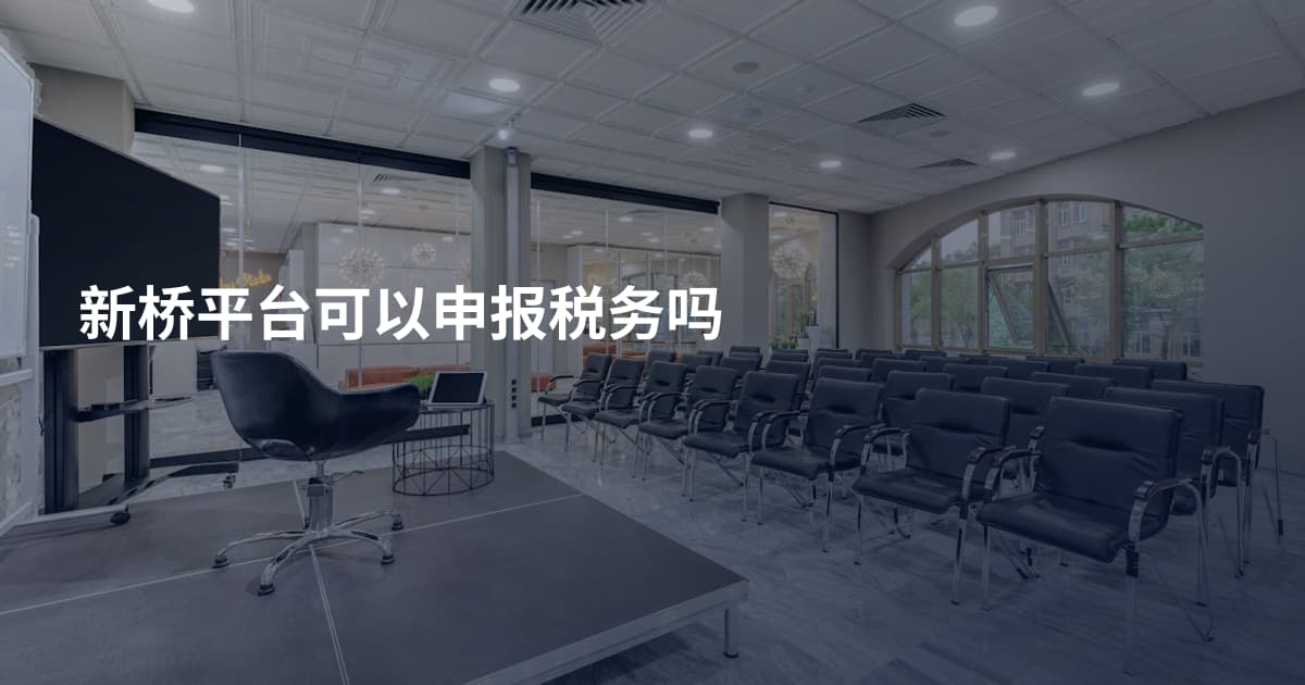 新桥平台可以申报税务吗