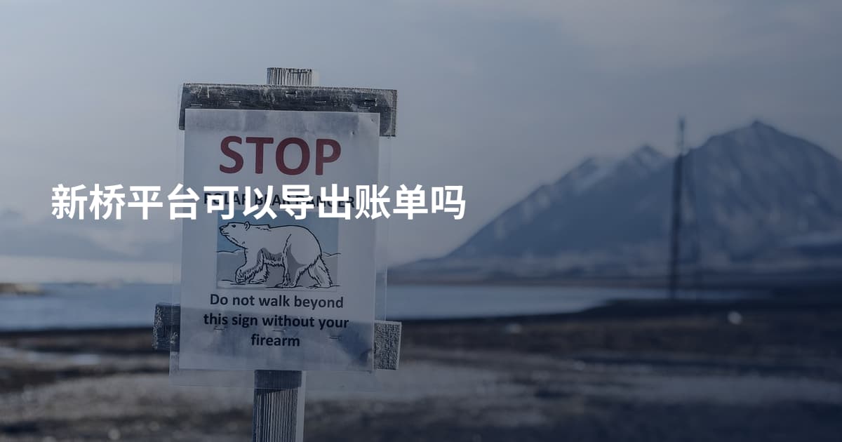 新桥平台可以导出账单吗