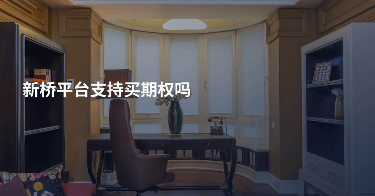 新桥平台支持买期权吗
