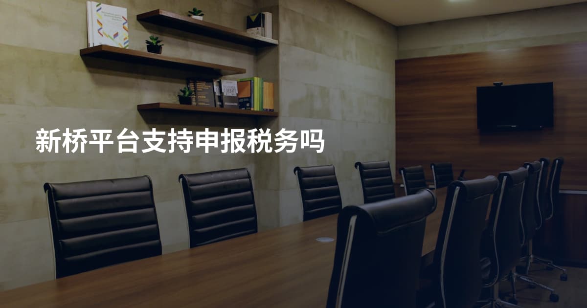 新桥平台支持申报税务吗