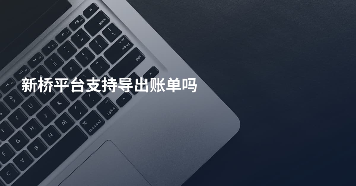 新桥平台支持导出账单吗