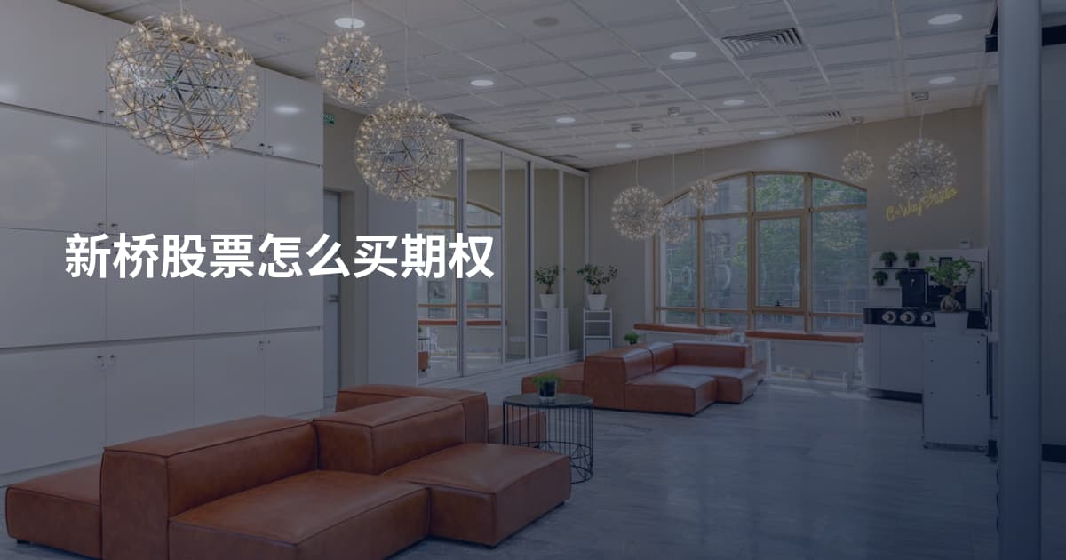 新桥股票怎么买期权