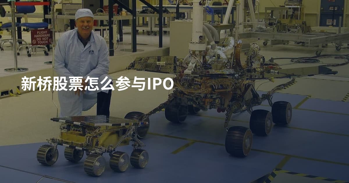 新桥股票怎么参与IPO