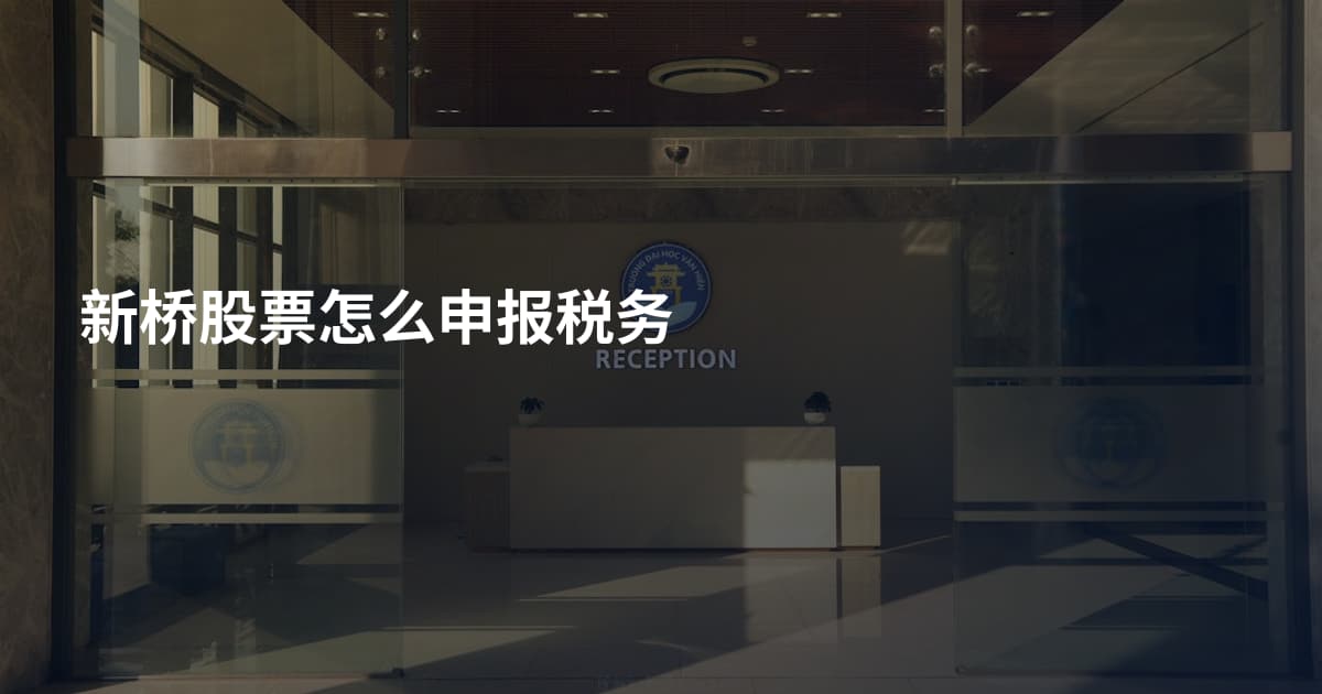 新桥股票怎么申报税务
