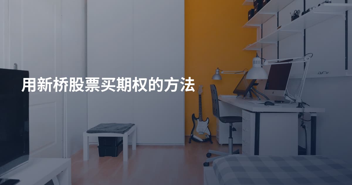 用新桥股票买期权的方法