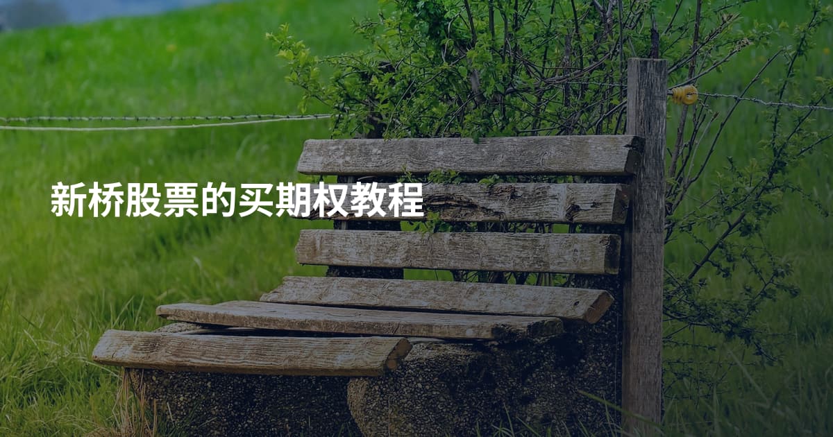新桥股票的买期权教程