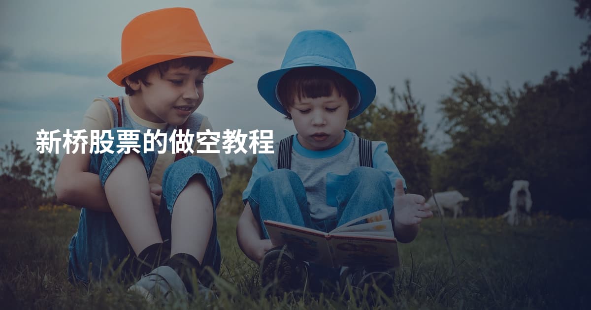 新桥股票的做空教程
