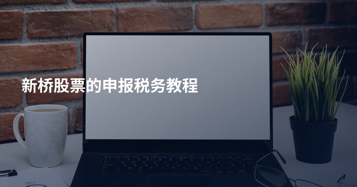 新桥股票的申报税务教程
