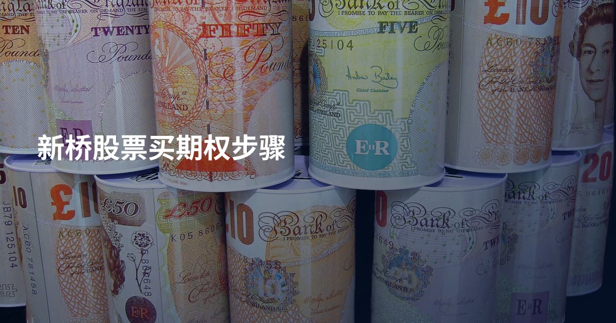 新桥股票买期权步骤