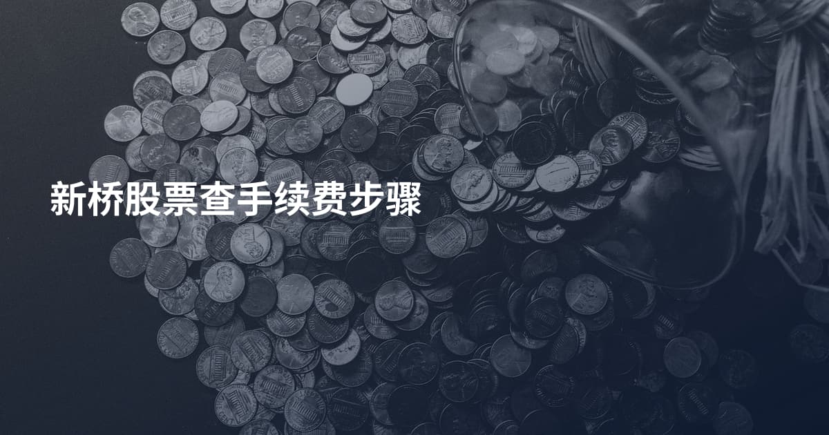 新桥股票查手续费步骤