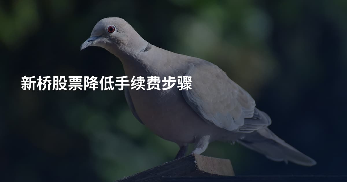 新桥股票降低手续费步骤