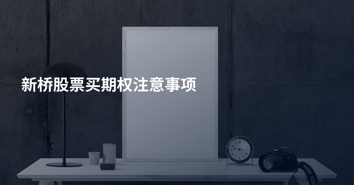 新桥股票买期权注意事项