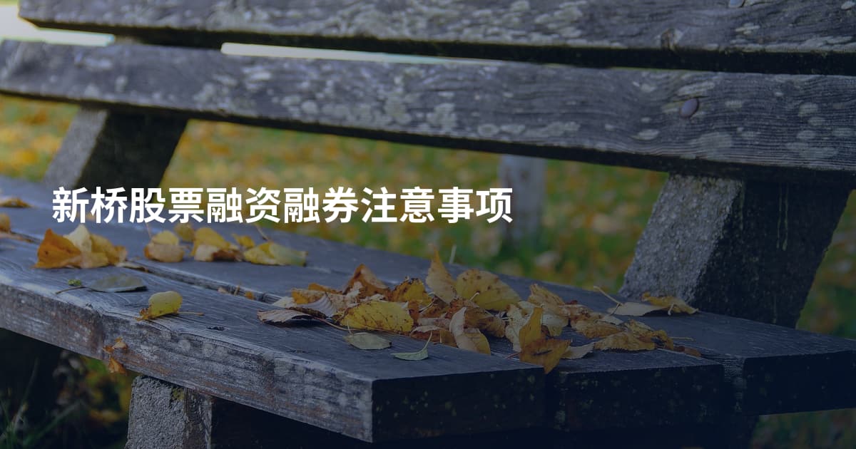 新桥股票融资融券注意事项