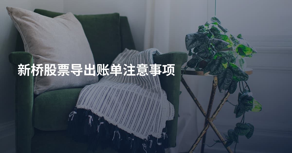 新桥股票导出账单注意事项