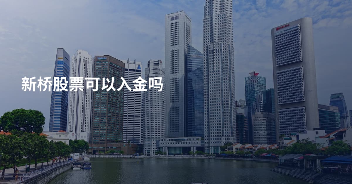 新桥股票可以入金吗