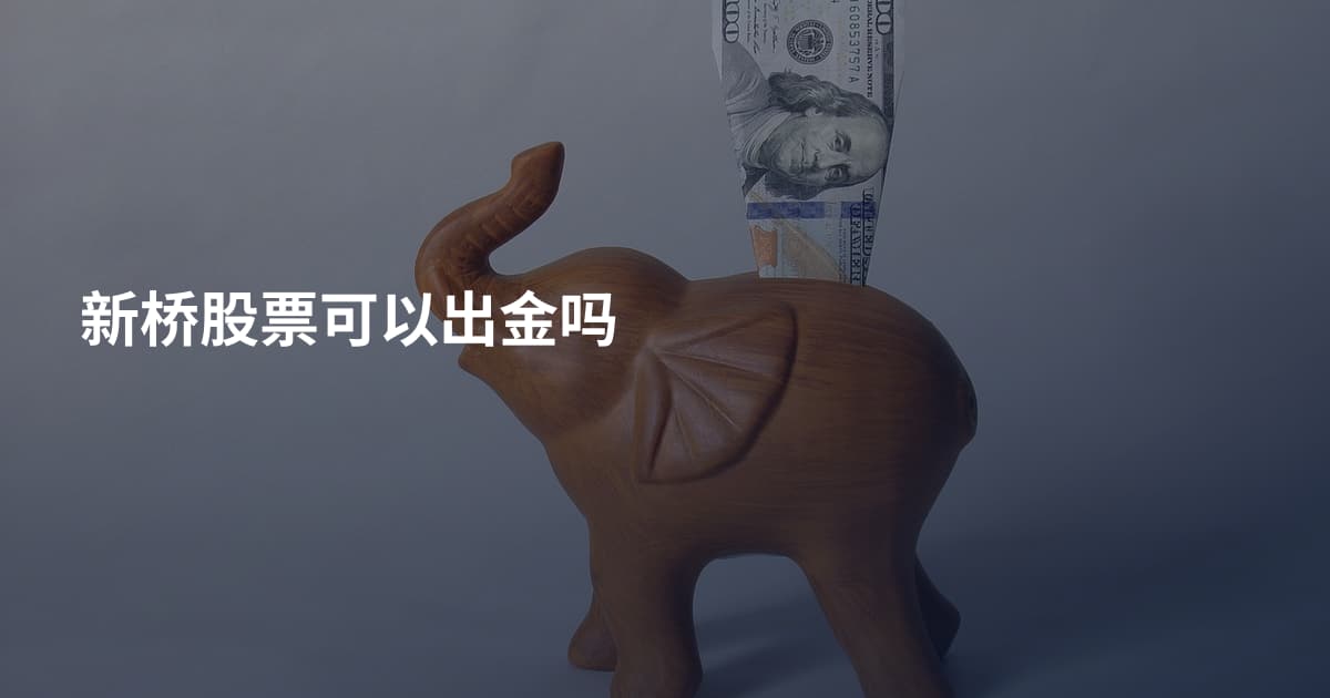 新桥股票可以出金吗