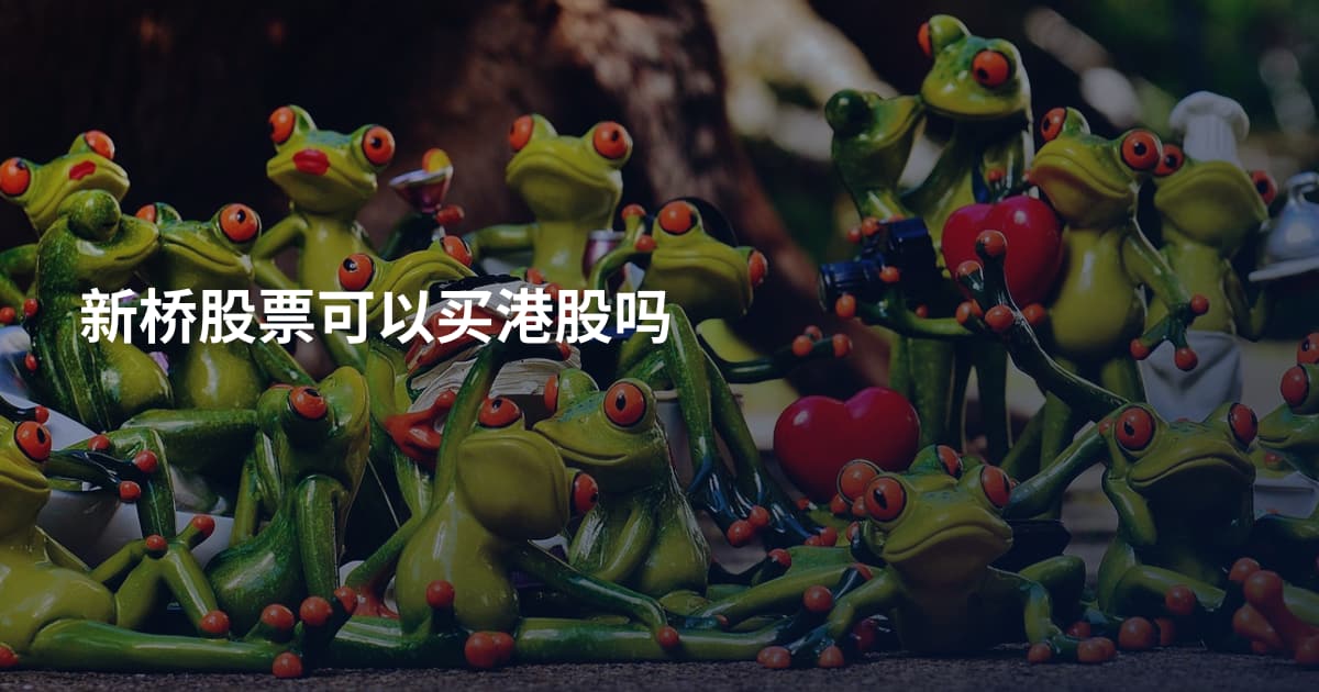 新桥股票可以买港股吗